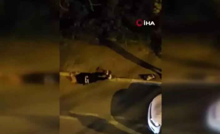 مقطع فيديو يوثق طعن رجلٍ تركي لزوجته يُتداول على أنه يطعن سائحة عربية في تركيا