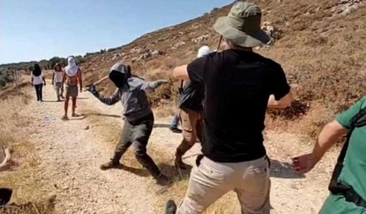 مستوطنون بينهم الصحفي "كوهين" ينشرون فيديو لاعتداءات مستوطنين على نشطاء أجانب على انه لفلسطينيين