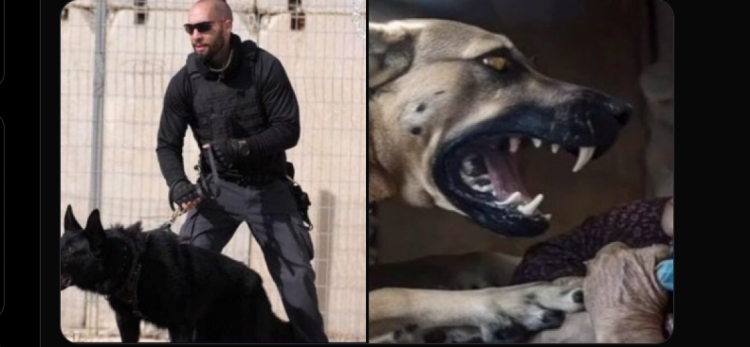 صورة لسجان في مصلحة سجون الاحتلال قتل في شقته تُتداول على أنها لذات الجندي الذي أطلق الكلب على مسنة بغزة