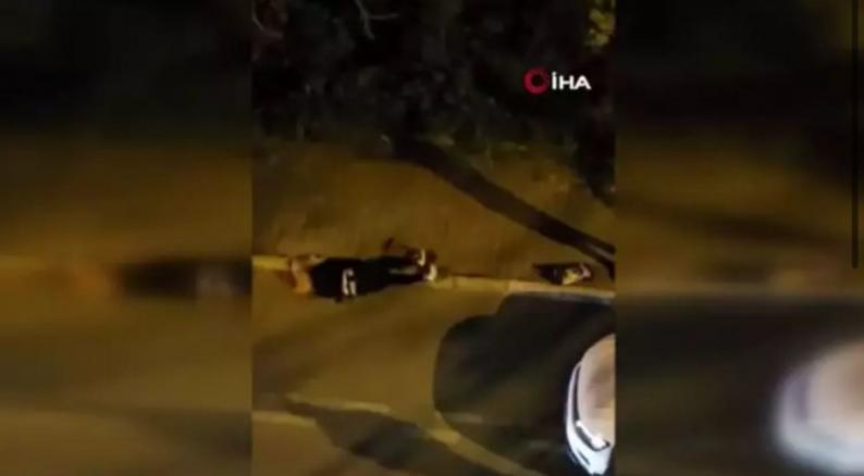 مقطع فيديو يوثق طعن رجلٍ تركي لزوجته يُتداول على أنه يطعن سائحة عربية في تركيا